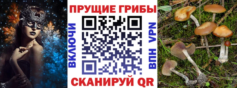 hydra ONION  Удачный  Псилоцибиновые грибы мухоморы 